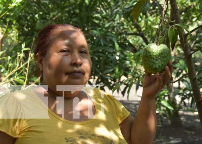 nicaragua, leon, patio saludable, economia familiar,