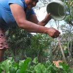 Unidad familiar y buena alimentación con Patio Saludable en San Lucas nicaragua