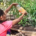 Yalagüina se nutre con efectivo programa Patio Saludable nicaragua