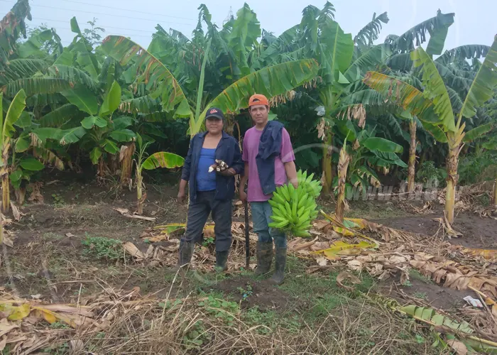Conozca a Doña María y su exitoso patio saludable nicaragua