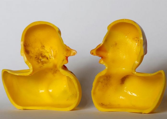 patitos patos amarillos