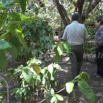 Familia de León impulsa con ánimos el proyecto Patio Saludable nicaragua