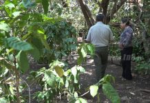 Familia de León impulsa con ánimos el proyecto Patio Saludable nicaragua
