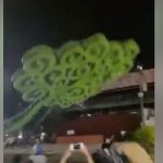 Periodista guatemalteco muere aplastado por árbol de la vida derribado en acto vandálico de antisandinistas nicaragua