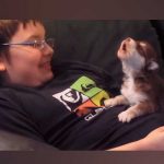 perro muerde a ladron