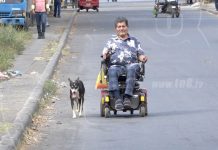 Ranger: Historia de amor de un perro fiel a su amo nicaragua