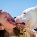 No te dejes lamer por tu mascota si tienes heridas, !puede ser mortal! nicaragua