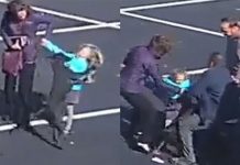 VIDEO: Perro ataca a una niña de 5 años fuera de una iglesia estados unidos