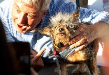 California elige al perro más feo del mundo (FOTOS) california