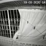 Captan en Managua a roba-perros en pleno apogeo (VIDEO) nicaragua