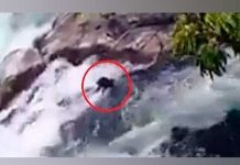 Desalmado lanza dos perros a un rió y perecen ahogados (VIDEO) desalmado