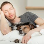 Lo que debés saber antes de irte a dormir con tu perro salud