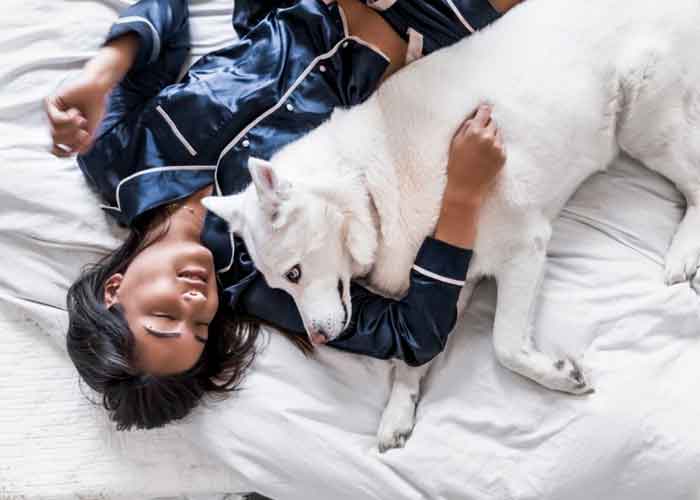 perros_3jxT4WH ciencia