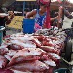 Pescadores de Nicaragua conocen oportunidades para enfrentar las adversidades nicaragua