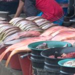 Capacitan sobre código de conducta para la pesca responsable nicaragua