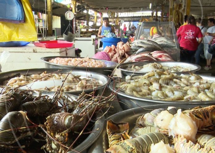 pesc1_JmWnSBz nicaragua