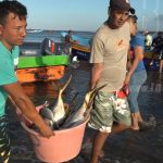 Pesca y reducción de arrecifes de coral amenazan peces en Pacífico y Caribe nicaragua