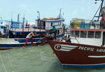 Pescadores optimistas por pesca de langosta en el Caribe nicaragua