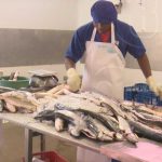 Incrementa producción y exportación de productos pesqueros en Nicaragua nicaragua