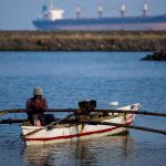 Enorme pez salta directo a una embarcación y mata a un pescador australia