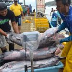 Inversionistas italianos interesados en sector pesca de Nicaragua nicaragua
