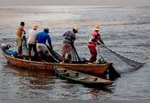pescadores