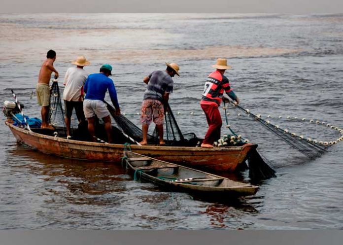 pescadores