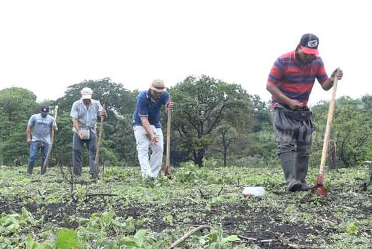 plan-ciencia-tecno-0013 nicaragua
