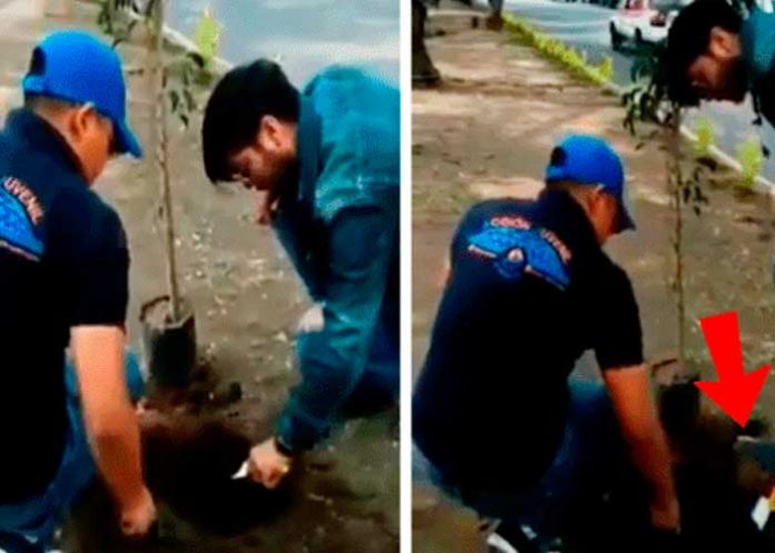 plan_zl3fGRb inexpertos