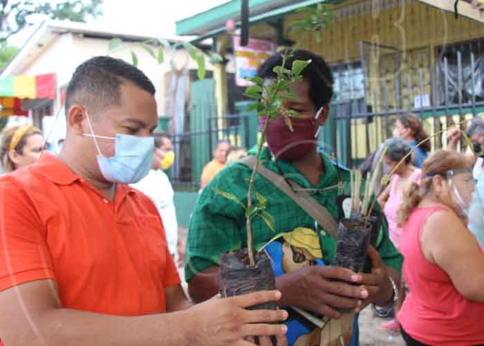 planta-bluefields-1 nicaragua