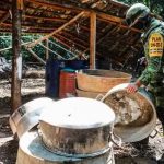 Ejército mexicano destruye el primer plantío de cocaína en Guerrero mexico