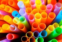 Conoce 4 productos que podrían sustituir el plástico conoce
