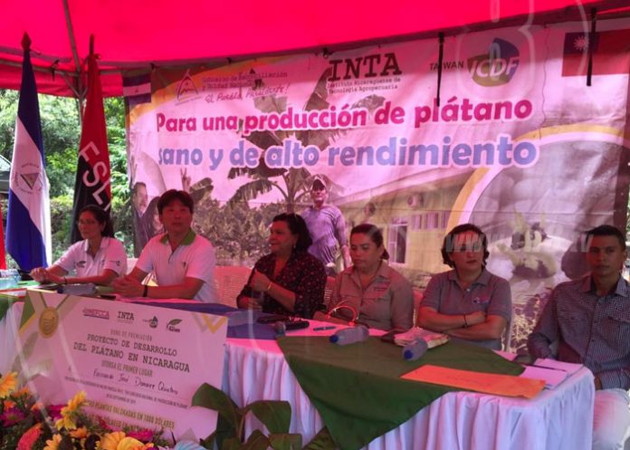 platano-1 nicaragua