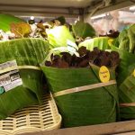 Asia empieza a usar hojas de plátano en lugar de bolsas plásticas asia