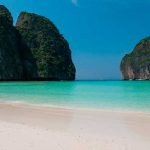 Bacteria come carne: ¿qué es y cómo combatir este mal de las playas? bacteria comer carne