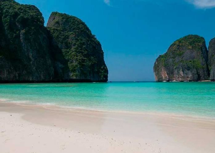 bacteria comer carne