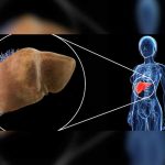 OJO: Descubren como se pueden regenerar tejidos del hígado higado