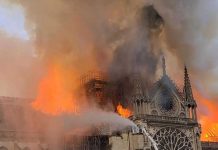 Niño registra alta tasa de plomo en la sangre tras incendio en Notre Dame
