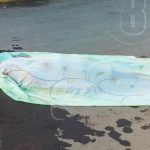 Encuentran a «Plumilla», tomador de Potosí, fallecido en plena calle nicaragua