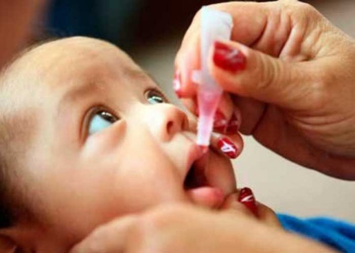 organizacion mundial de la salud