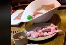 ¡Auxilio! Trozo de pollo se arrastra por un plato provocando terror trozo de pollo