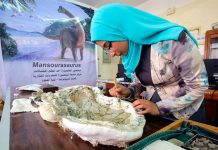 «Mansurasaurio», el dinosaurio que prueba la conexión entre África y Europa