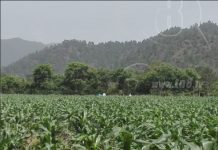 nicaragua