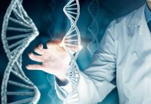 La modificación genética en humanos, hitos y precedentes china
