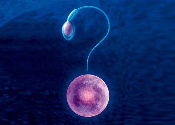 portada_1ZLl91v sistema reproductivo