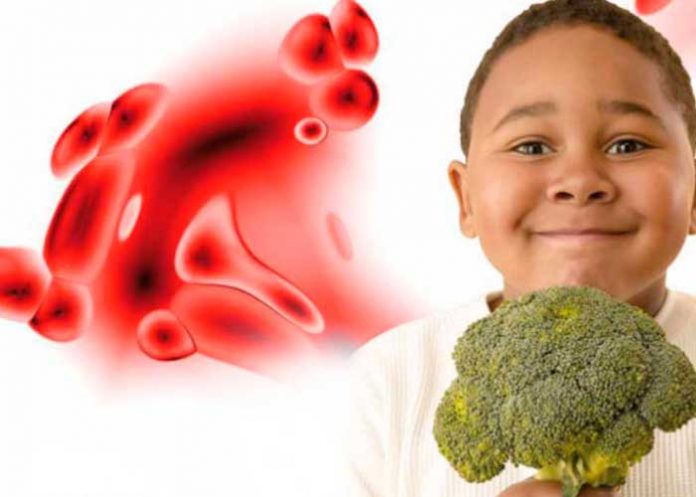 portada_4CqbveA anemia