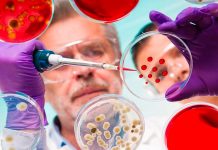 microbios buenos