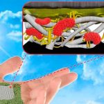 Baterías hechas de papel ¿En realidad sirven? biobateria