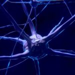 estimulacion electrica