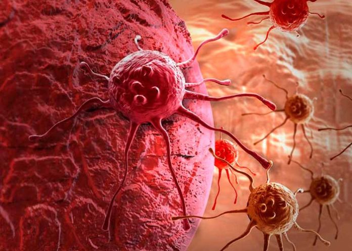 celulas cancerosas